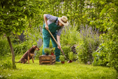 Gardeners Castelnau maintaining a well-kept green garden