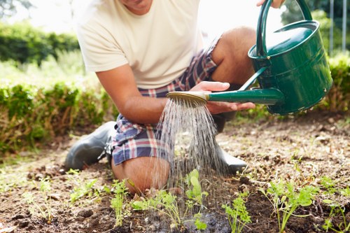 Charity donation items from a Castelnau garden project