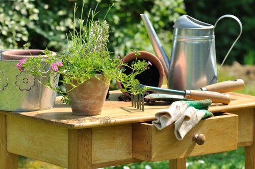 Professional garden maintenance in Castelnau including hedge trimming and planting care