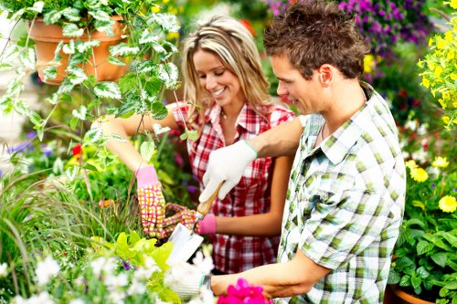 Professional garden upkeep and structure in a Castelnau property