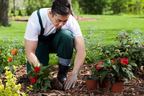 Outdoor garden planning and planting layout in Castelnau