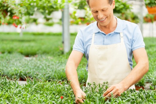 Professional lawn mowing in Castelnau on a residential property