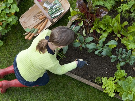 Seasonal garden maintenance in Castelnau with pruning and leaf clearance