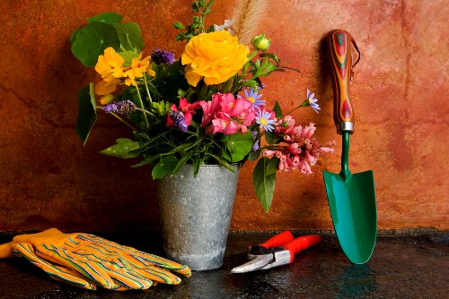 Professional insured gardeners in Castelnau on a safe site