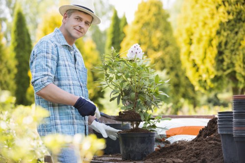 Seasonal garden maintenance and planting in Castelnau