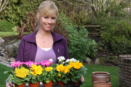 Castelnau gardeners improving planting beds and lawn care