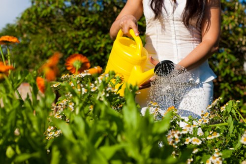 Hard landscaping features for a Castelnau garden transformation