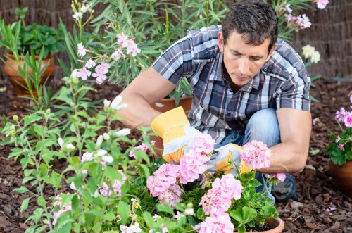 Seasonal lawn maintenance in Castelnau for a thick, resilient garden lawn