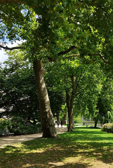 A pathway shaded by large deciduous trees with thick trunks and lush green foliage, creating a canopy overhead. The grass along the path is well-maintained and vibrant, with some areas of dappled sunl