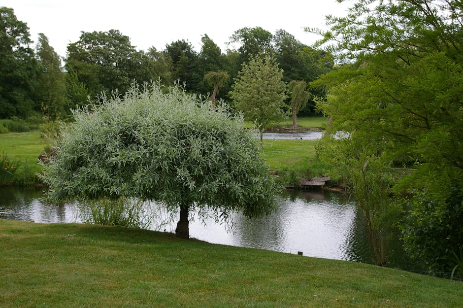 A tranquil garden scene featuring a well-maintained gravel pathway that runs through colorful flower beds, including white, purple, and green foliage, leading towards a small pond with a fountain. The